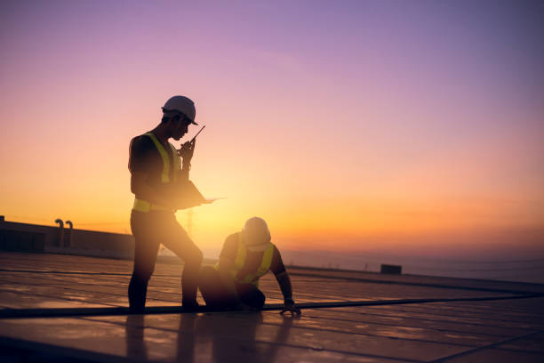 Best Flat Roof Repair Services  in Grand Ledge, MI